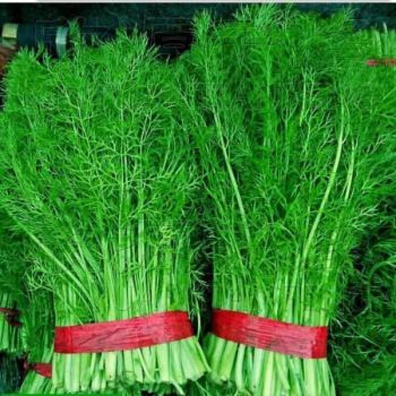 【精品】小茴香保质保量啥规格的都有欢迎抢购