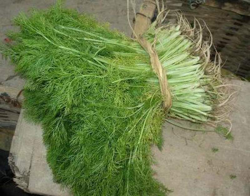 【精品】小茴香保质保量啥规格的都有欢迎抢购