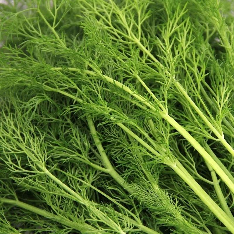 【精品】小茴香保质保量啥规格的都有欢迎抢购