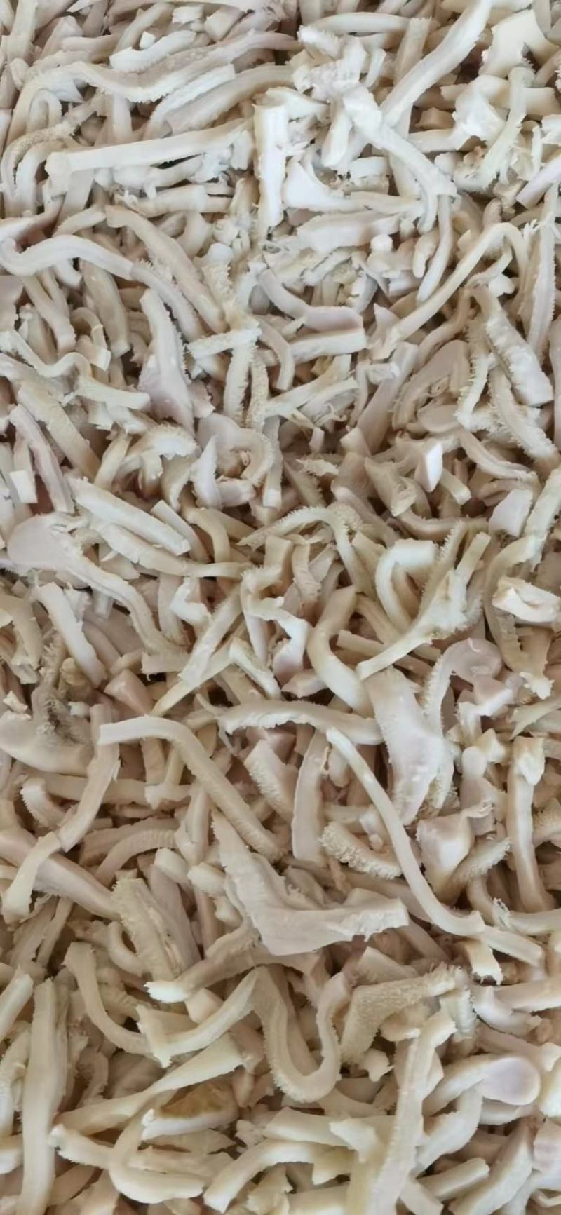 全熟牛肚丝无碱发诚信经营品质保证欢迎电话联系