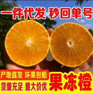 【一件代发】四川眉山爱媛38号果冻橙原产地一手货源