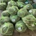 江苏精品大闸蟹品质好！欢迎广大朋友放心订购