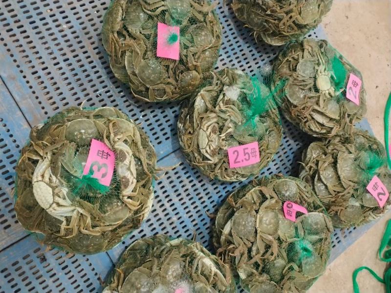 江苏兴化精品大虾蟹直供，品质优良值得信赖……