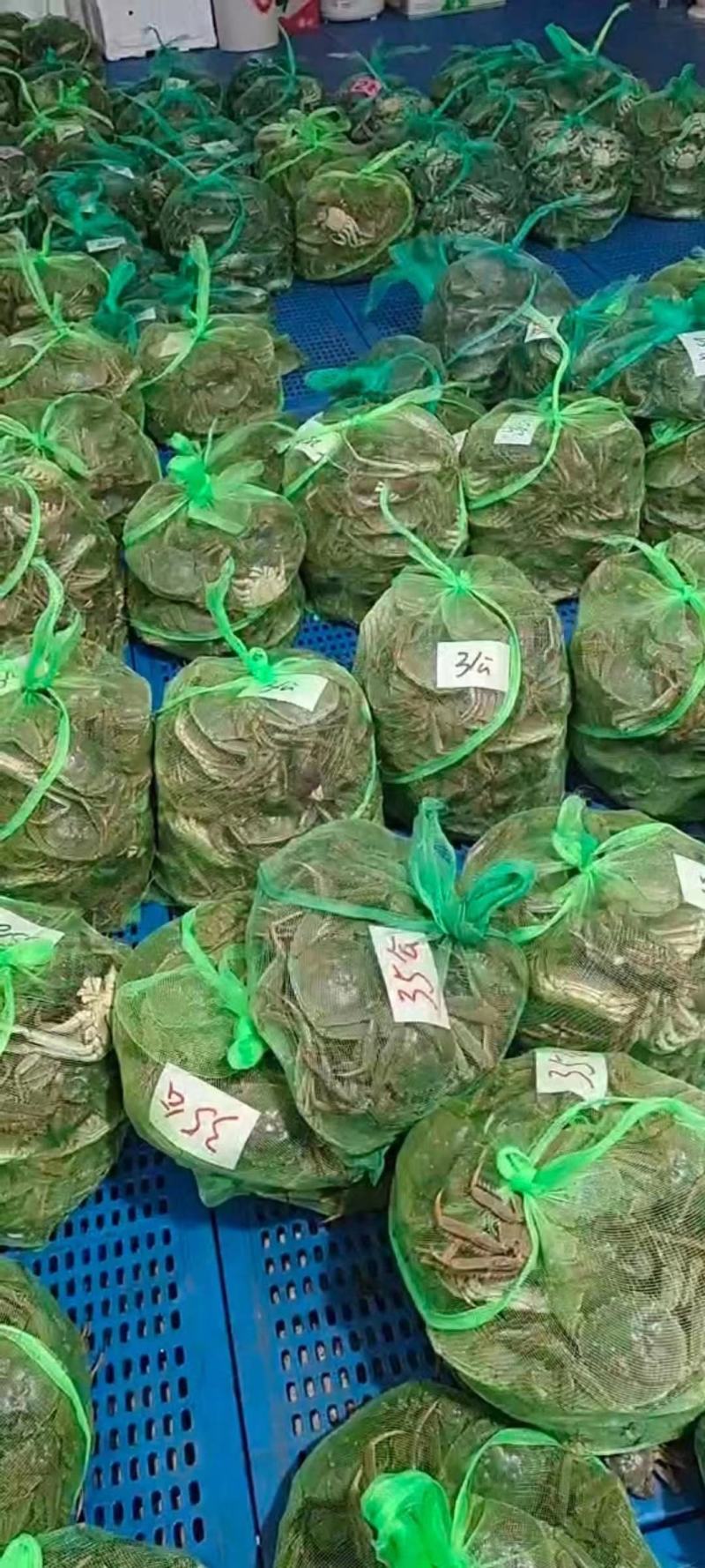 江苏兴化精品大虾蟹直供，品质优良值得信赖……