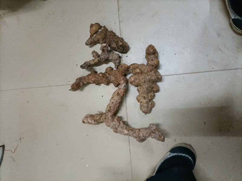 新鲜本地白肉土茯苓甘甜广东广西本地野生土茯苓干货长期供应