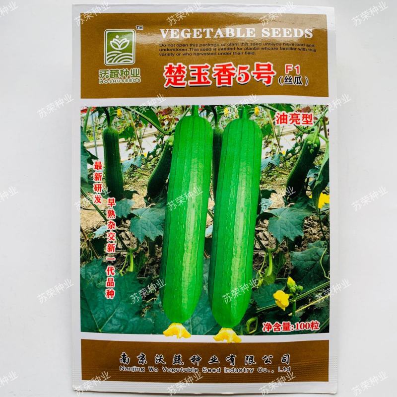 楚玉香5号香丝瓜种子油亮皮早熟耐低温短棒丝瓜种籽春秋季