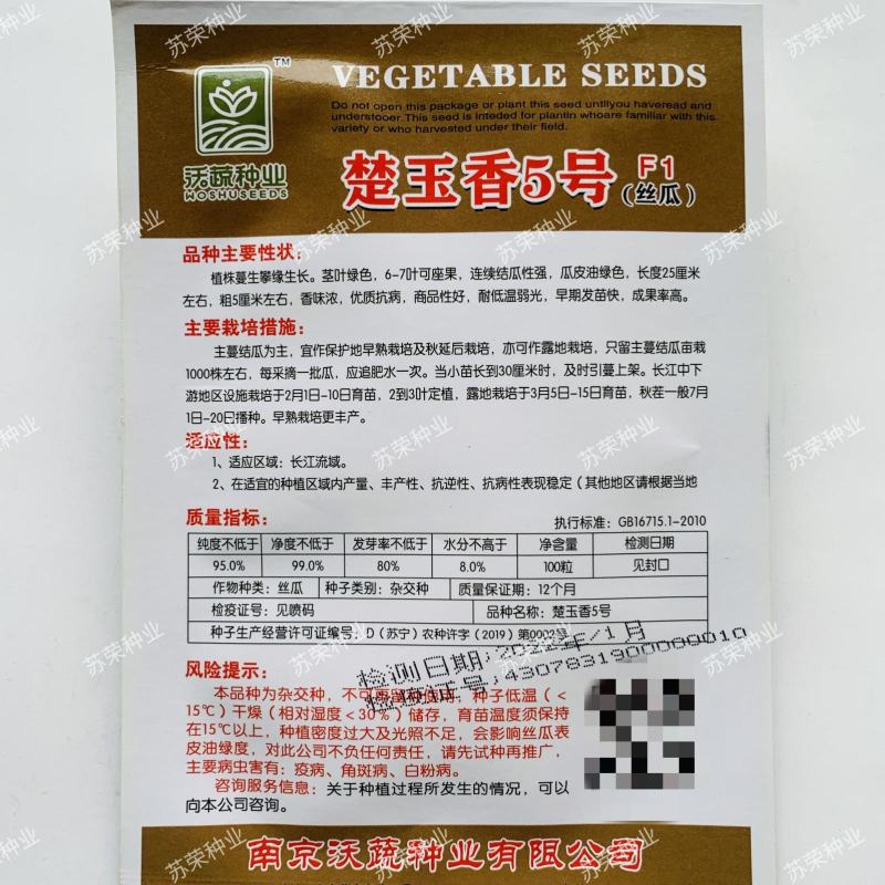 楚玉香5号香丝瓜种子油亮皮早熟耐低温短棒丝瓜种籽春秋季