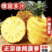 （精品推荐）广东徐闻菠萝，饱满多汁，质量保证，欢迎各位，