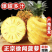 （精品推荐）广东徐闻菠萝，饱满多汁，质量保证，欢迎各位，