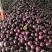 圆茄山东莘县圆茄大量上市货源充足价格平稳量大从优对接全