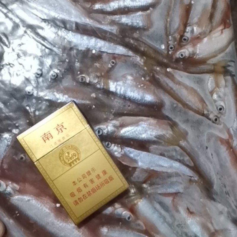 白条鱼开肚10-15公分，产地发货，质量保证，欢迎
