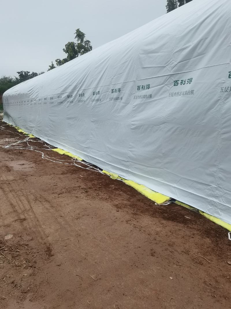养殖大棚