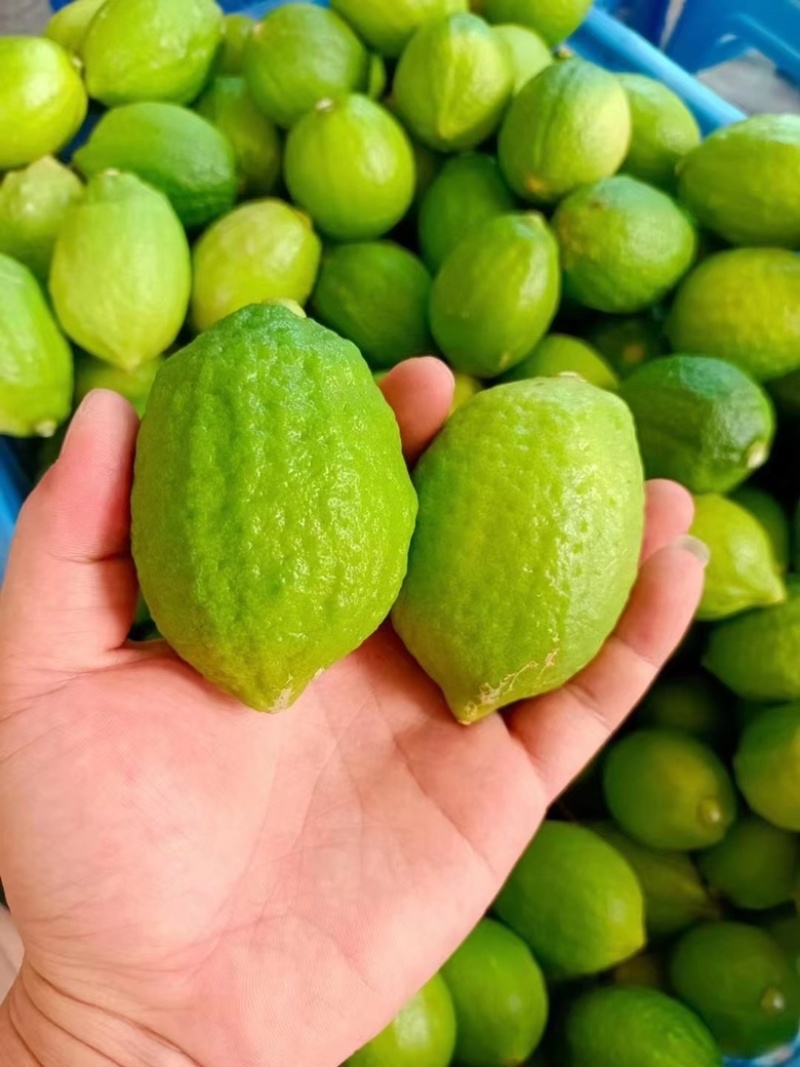 一级果柠檬