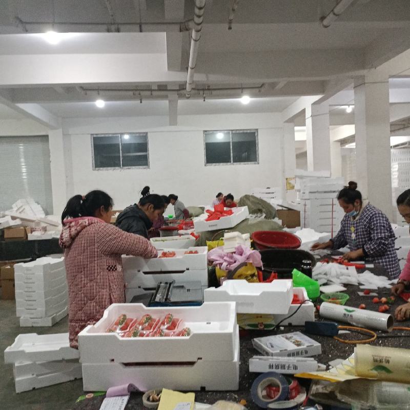 草莓供应天仙醉妙香草莓宁玉妙香草莓电商草莓直供徐州草