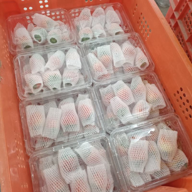 草莓供应天仙醉妙香草莓宁玉妙香草莓电商草莓直供徐州草