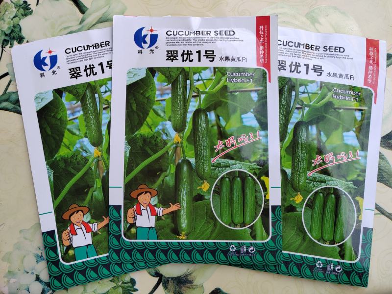杂交水果黄瓜种子口口脆黄瓜种子可以生吃水分足