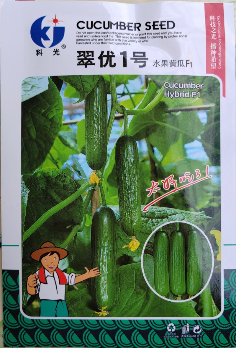 杂交水果黄瓜种子口口脆黄瓜种子可以生吃水分足