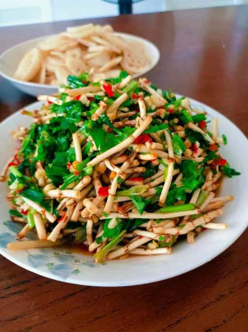 鱼腥草折耳根狗节耳凉拌菜狗耳菜