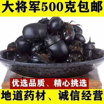新货中药材野生大将军蜣螂屎壳郎水洗货保证