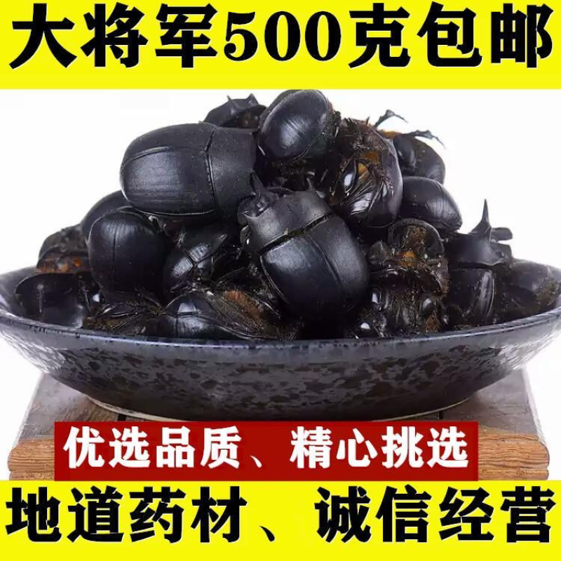 新货中药材野生大将军蜣螂屎壳郎水洗货保证