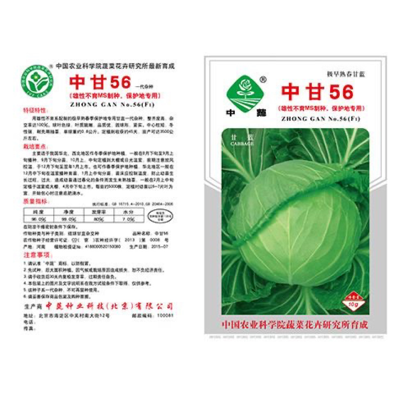 中甘56甘蓝种子