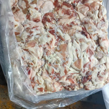 龙泽三七