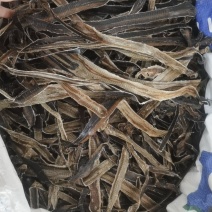 振兴药材批发供应全开地龙规格齐全产地直供一手货源全国发货