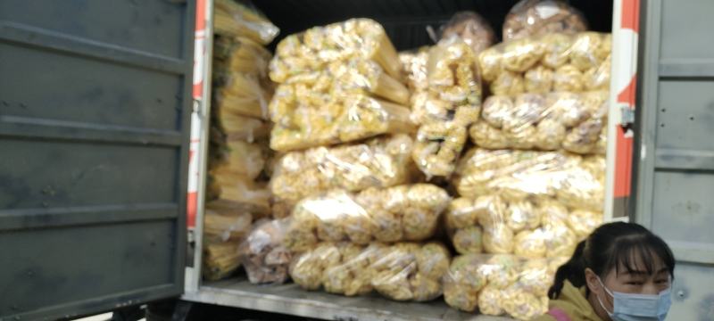 欢迎采购选择
