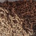 野生朱砂点苍术，光货