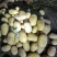 希森6号土豆内蒙土豆沙地种植货源稳定