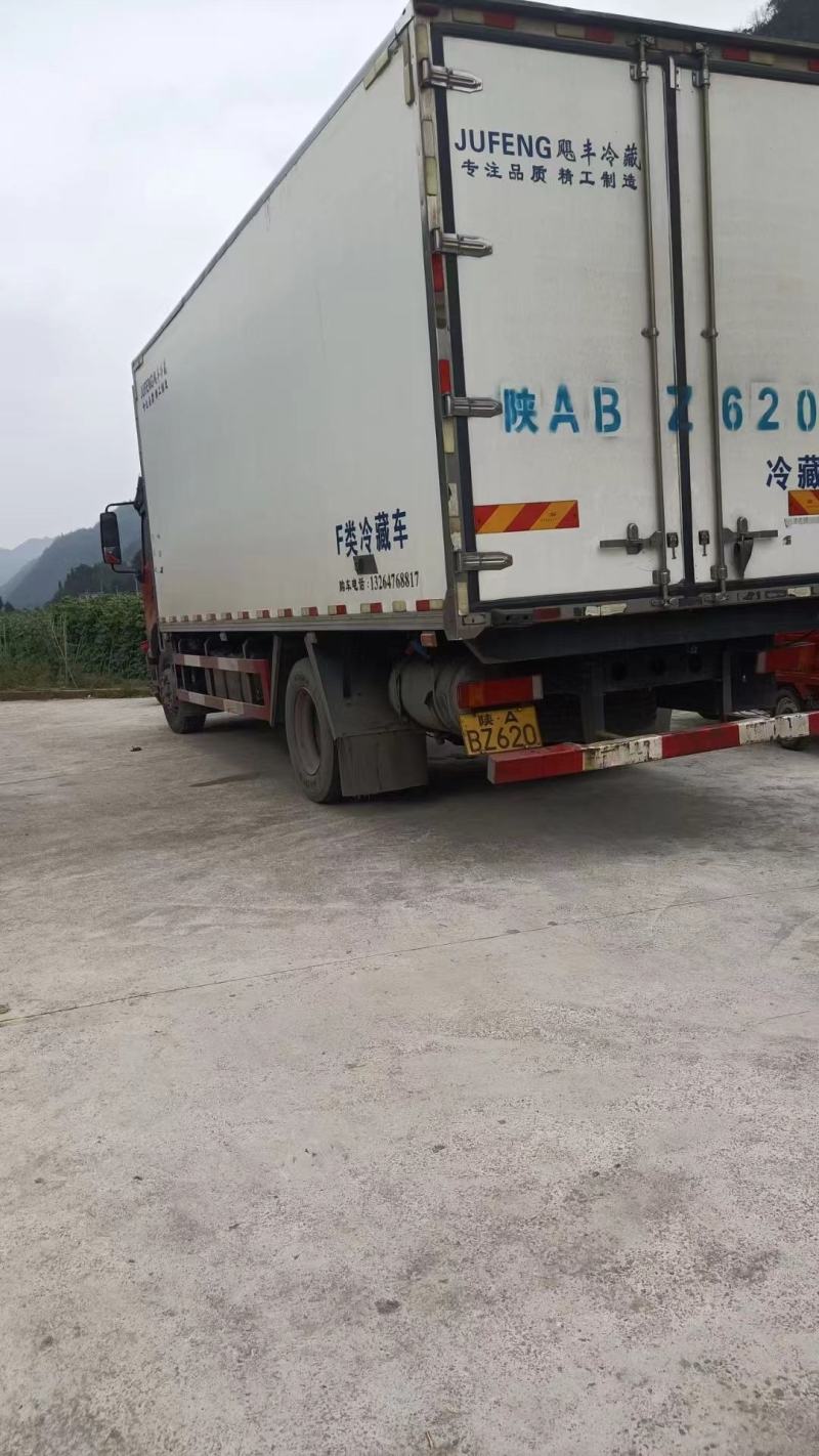 无筋豆基地一手货源大量优超市电商市场.全国发货