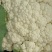 有机花大量上市中可供超市，电商，市场，社区团购等…