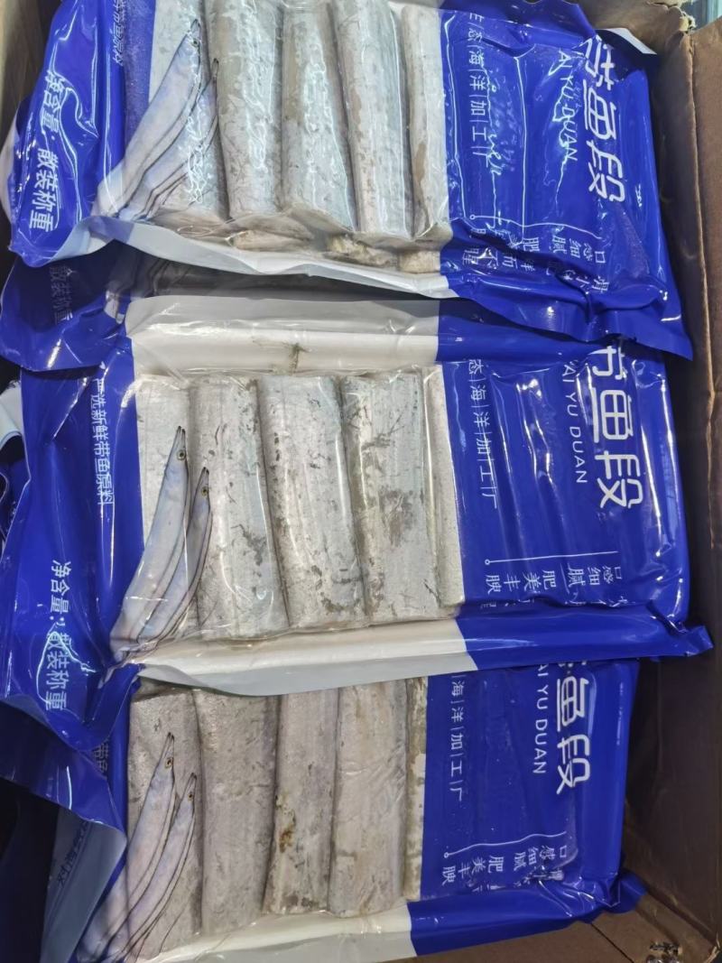 东海带鱼段