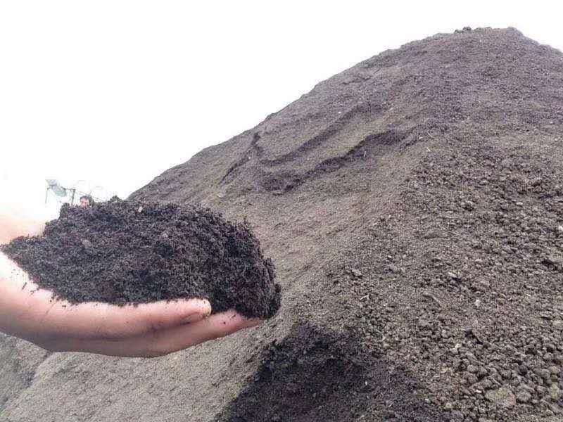 发酵有机羊粪