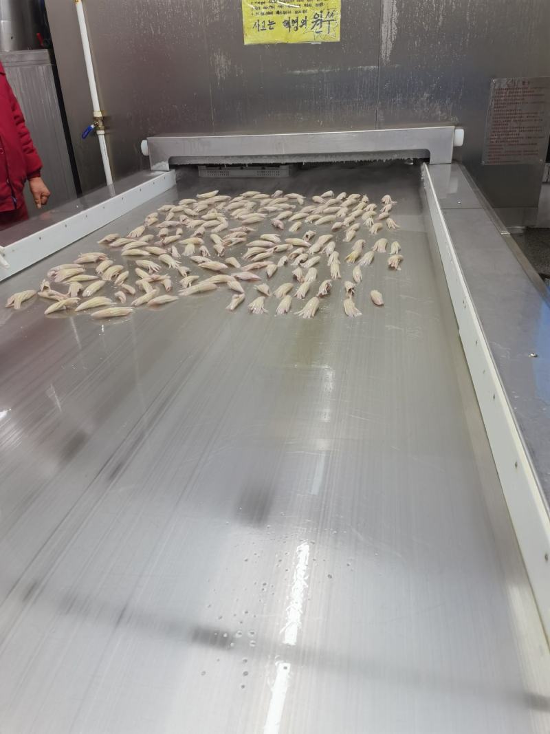 火箭鱿鱼网红食材，秘鲁鲜耳加工，量大可议价，接受定制