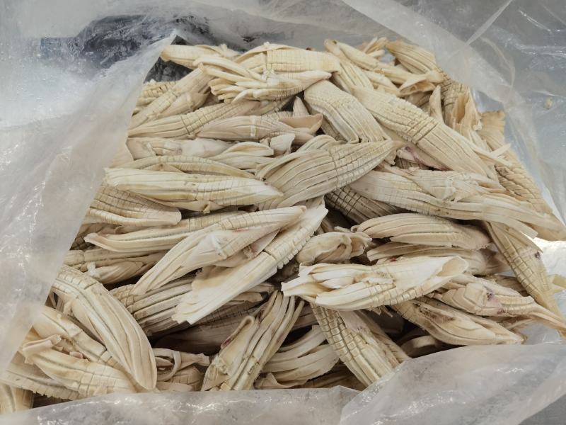 火箭鱿鱼网红食材，秘鲁鲜耳加工，量大可议价，接受定制