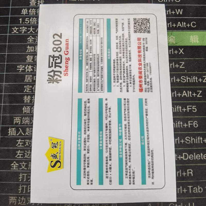 粉罐802西红柿种子番茄种子农家庭院阳台种植蔬菜种子