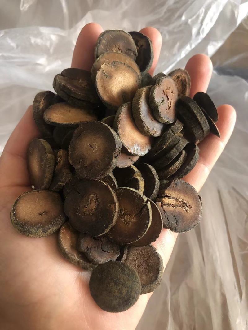 化橘红正宗化州化橘红各种规格批发