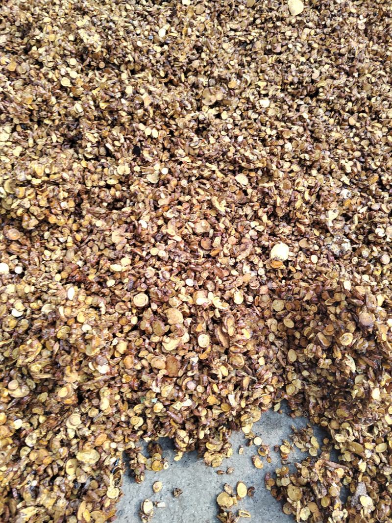 炙甘草，甘草片，蜜炙甘草各种规格，产地一手货源