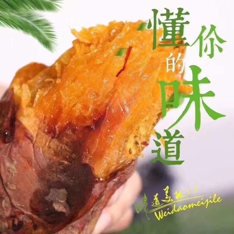 烟薯25