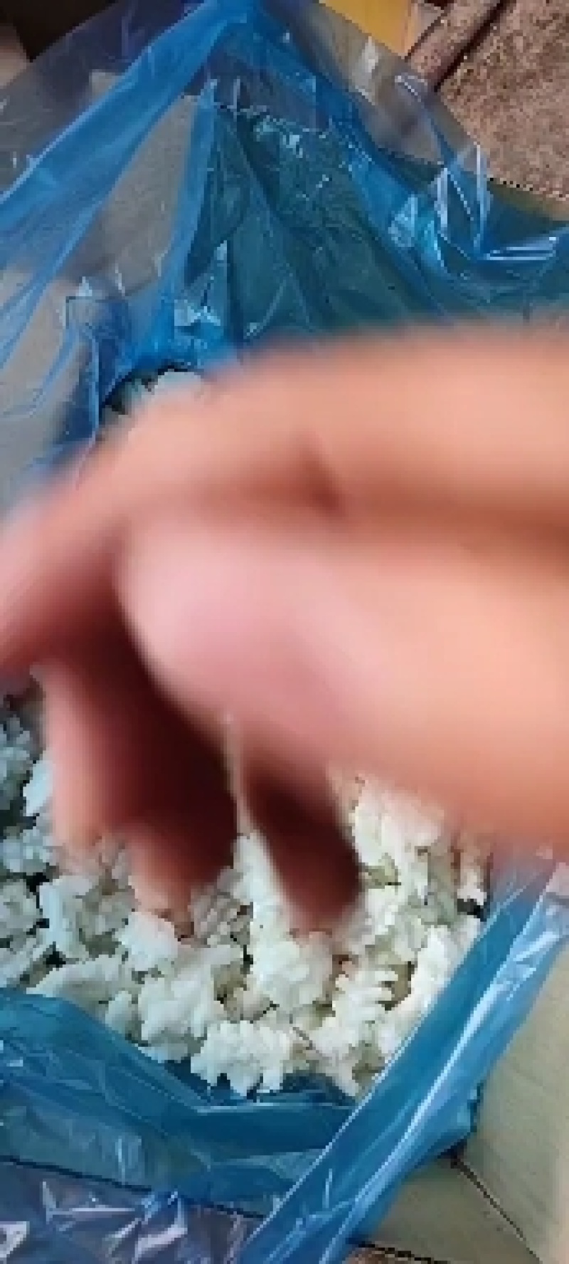 鱿鱼花目鱼花残花鱿鱼无冰工厂直发