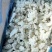 鱿鱼花目鱼花残花鱿鱼无冰工厂直发