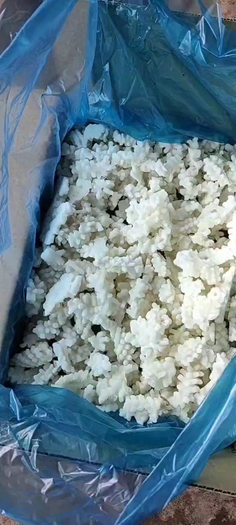 鱿鱼花目鱼花残花鱿鱼无冰工厂直发