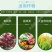 哈茨木霉菌微生物菌剂土传真菌病害克星防根腐烂根死苗