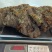 松针桑黄产地批发各种规格齐全量大详谈
