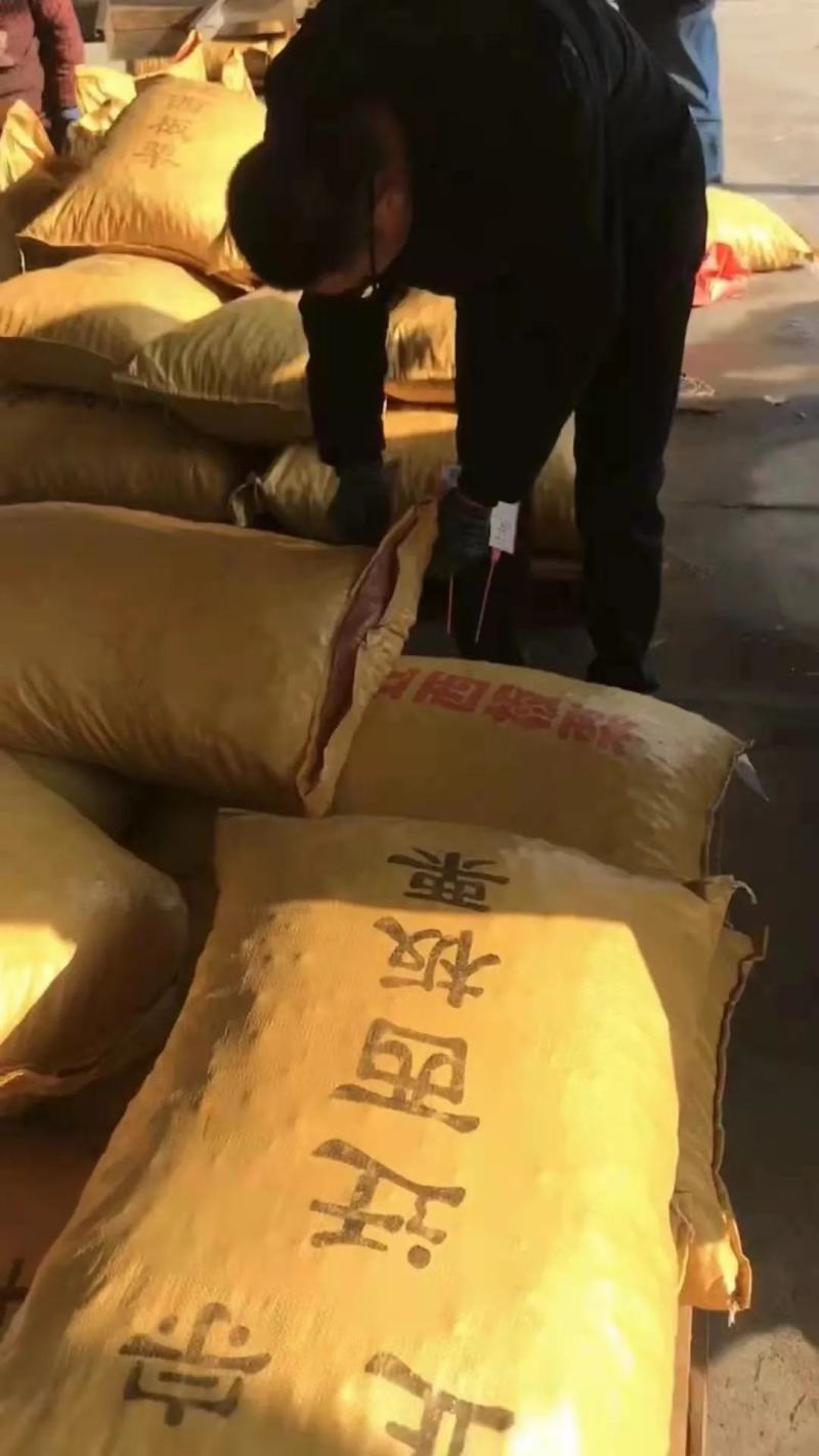 迁西3113板栗，老树板栗，遵化沟七各种规格齐全，产地