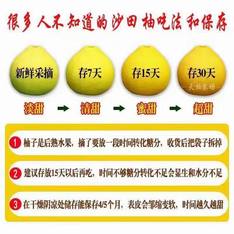 梅县沙田柚糖度15，品质保证，汁多味甜，可到场看