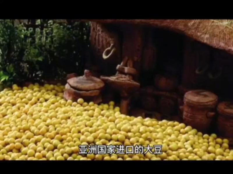 俄罗大豆进口非转基因大豆油豆高蛋白豆精豆吨袋包装过塔过筛
