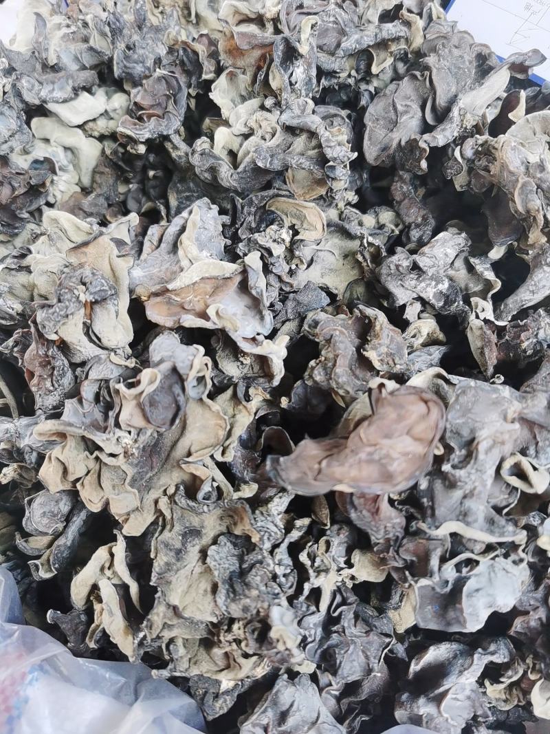 毛木耳地摊货源批发未水洗