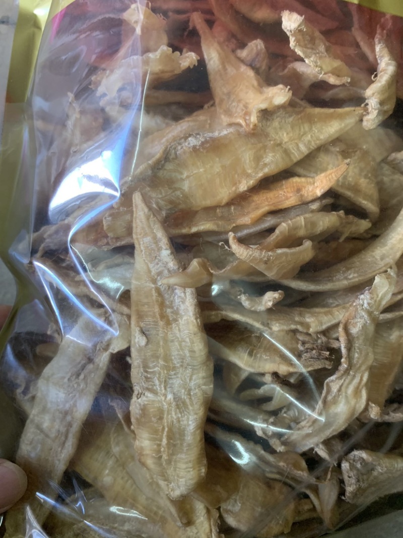 特价金龙鱼胶胶质好高性价比